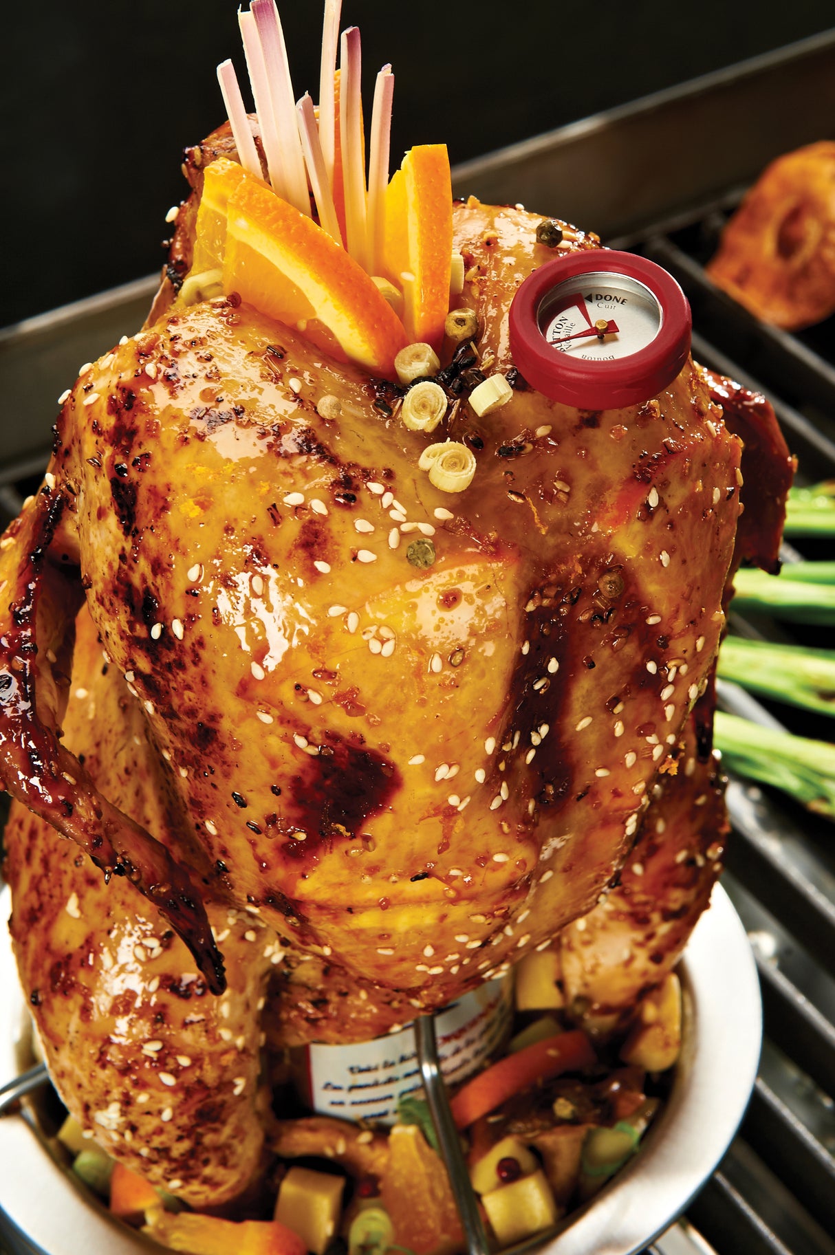 Chicken roaster