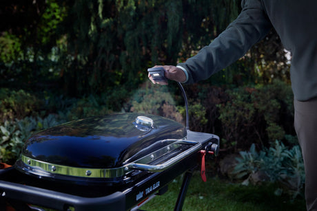 Weber Traveler Portable Gas BBQ