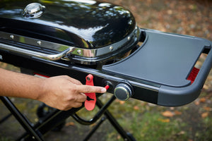 Weber Traveler Portable Gas BBQ
