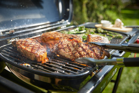 Weber Traveler Portable Gas BBQ
